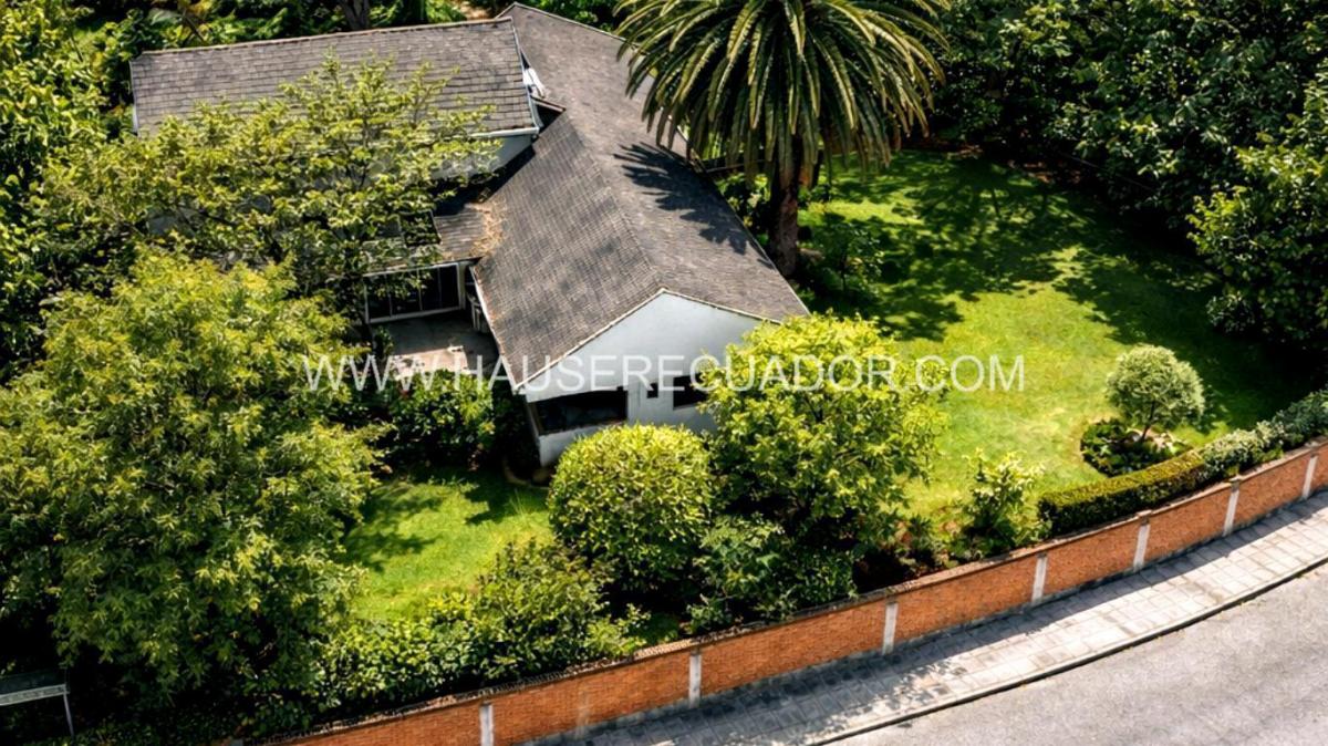 Terreno en Venta de 1.111 m² con Casa en San Rafael - El Triángulo con Frente de 39 m² — imagen 10