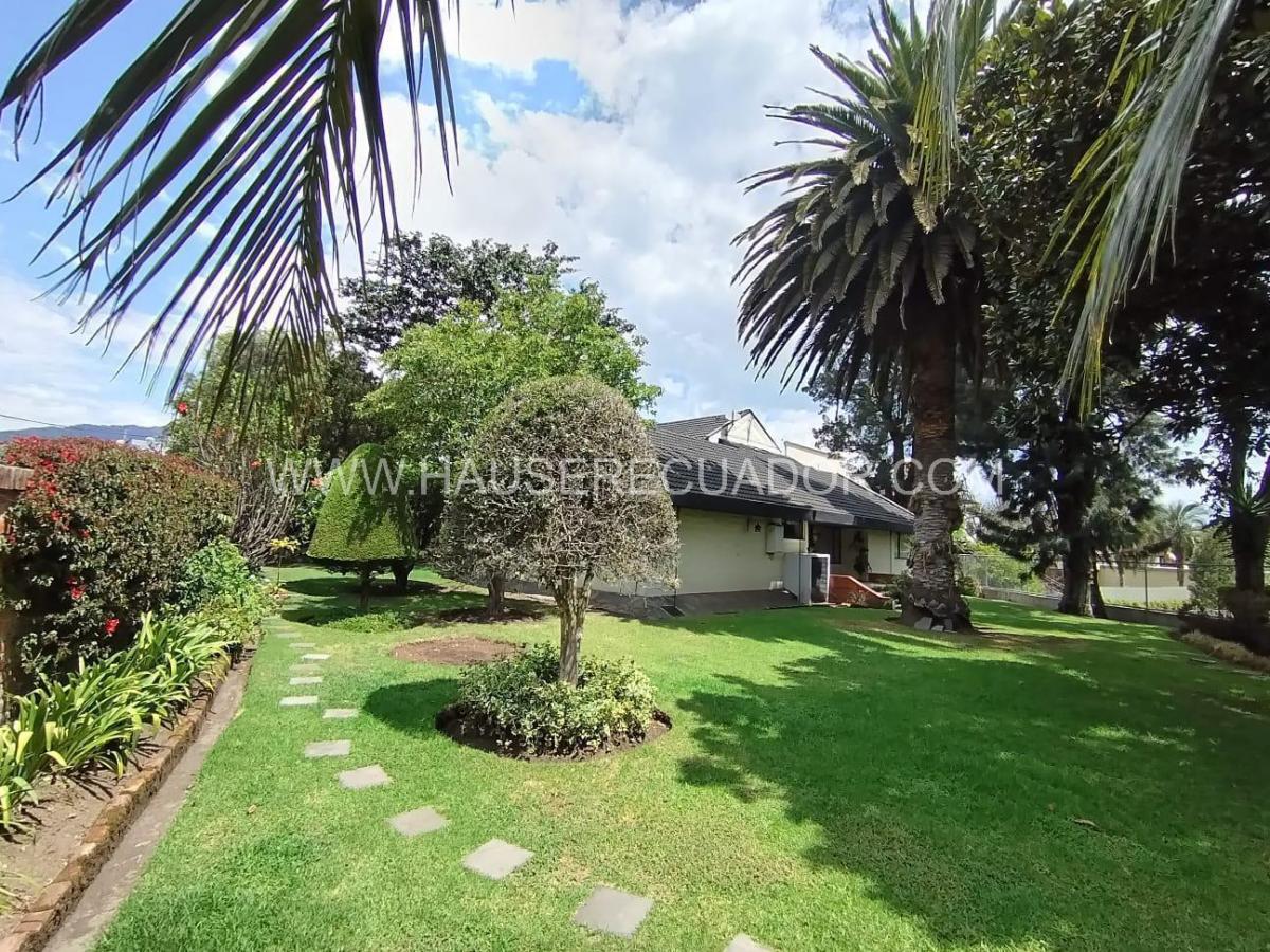 Terreno en Venta de 1.111 m² con Casa en San Rafael - El Triángulo con Frente de 39 m² — imagen 9