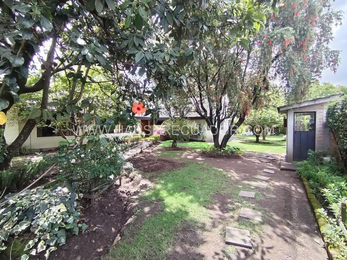 Terreno en Venta de 1.111 m² con Casa en San Rafael - El Triángulo con Frente de 39 m² — imagen 8
