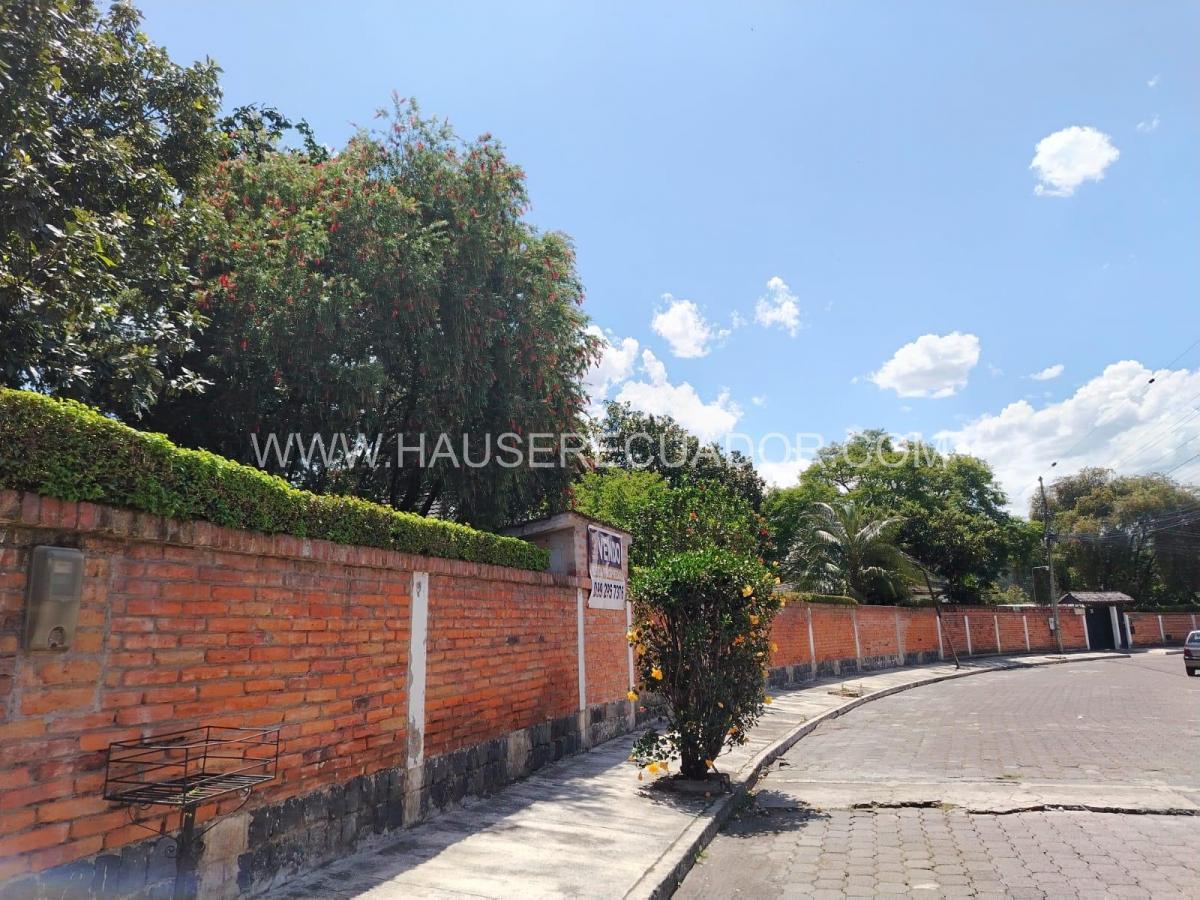 Terreno en Venta de 1.111 m² con Casa en San Rafael - El Triángulo con Frente de 39 m² — imagen 7