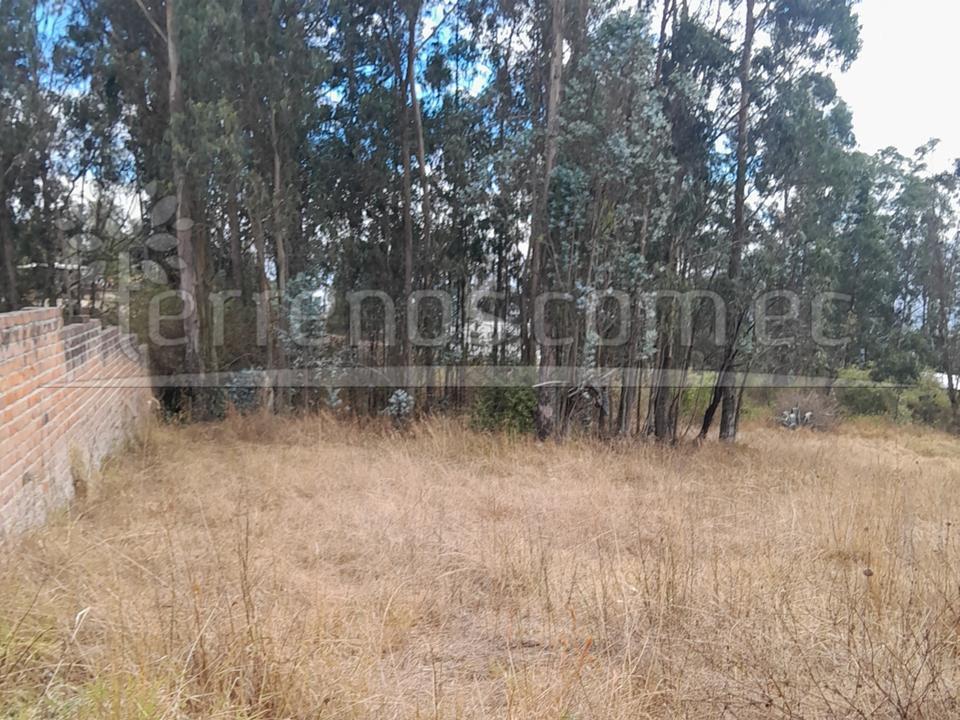 Terreno en Cumbayá — imagen 4