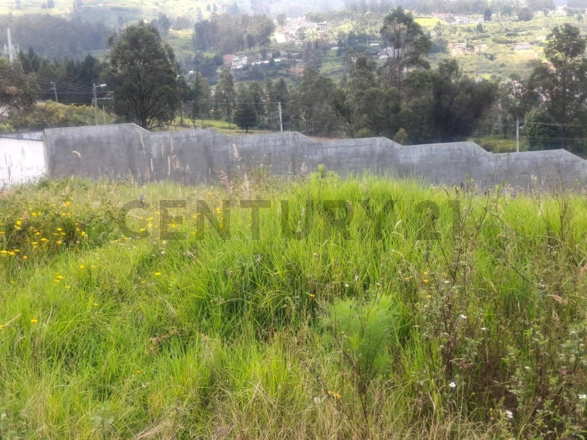 Terreno de Venta Conocoto — imagen 7