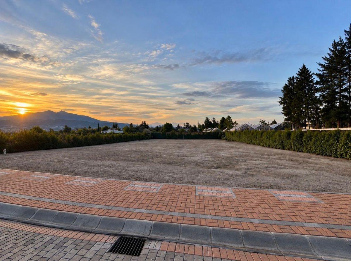 Vendo Terreno Plano de 1030 m². en Puembo - Excelente Ubicación — imagen 8