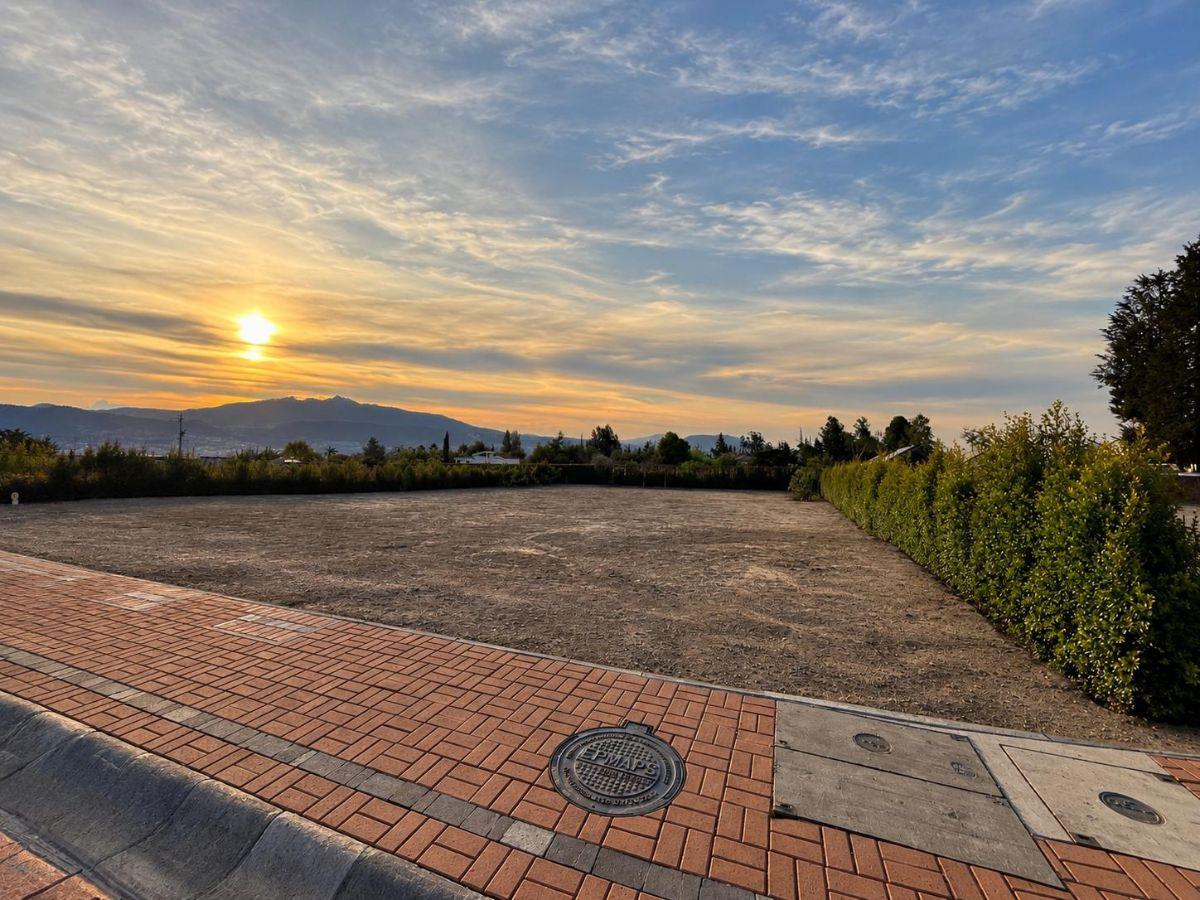 Vendo Terreno Plano de 1030 m². en Puembo - Excelente Ubicación — imagen 5