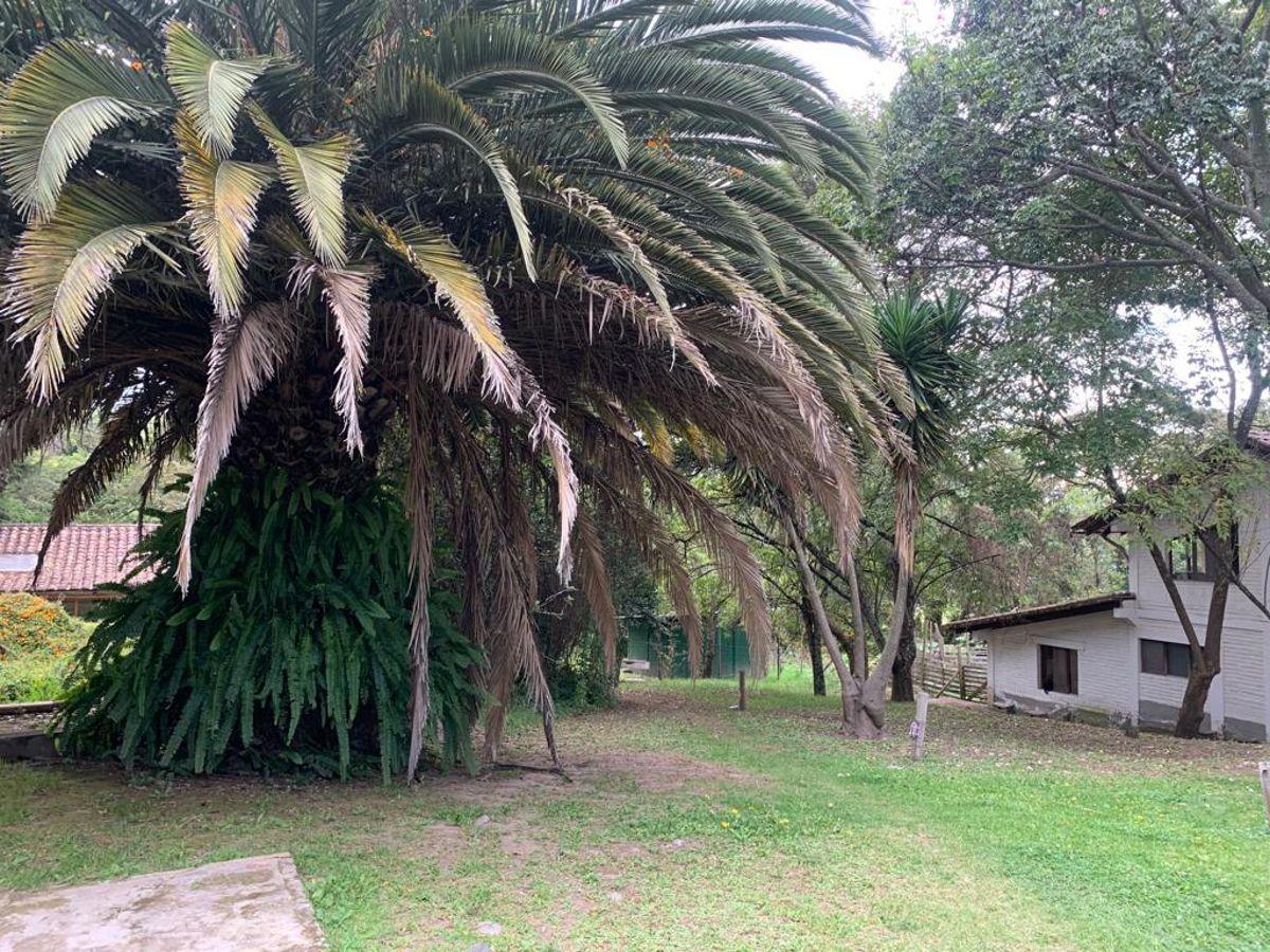 Terreno de 5.800 m² con Construcciones en La Cerámica – Tumbaco — imagen 5