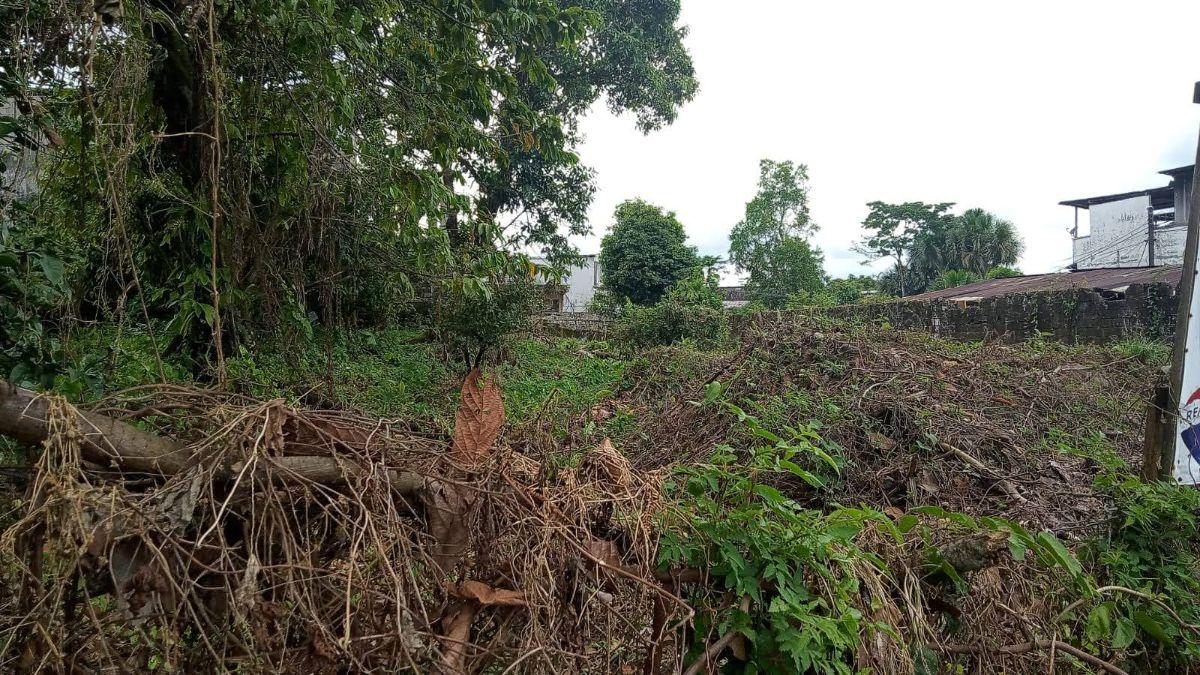 Venta de Terreno Plano Frente Al Parque Morete Puyo Provincia de Pastaza, Pastaza — imagen 3