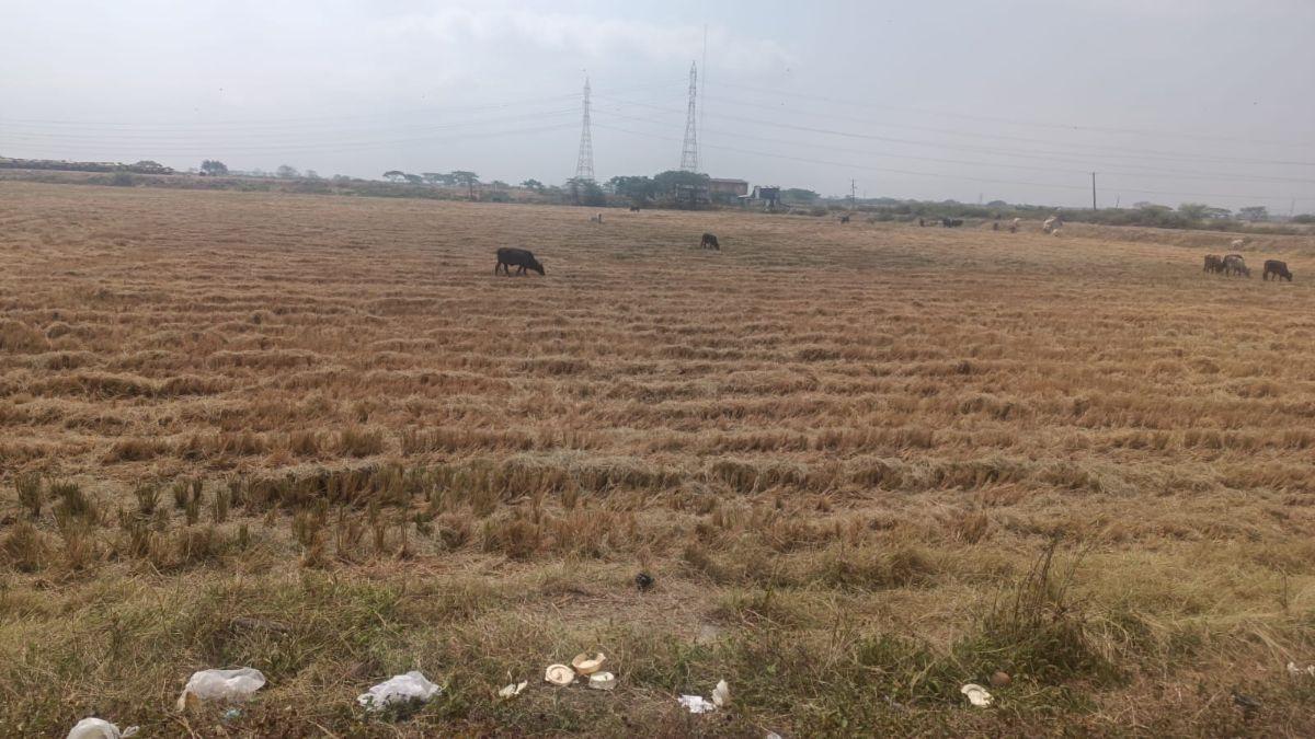 Venta de Solar Comercial E Industrial en Avda. Samborondon Km 16,5, Guayas — imagen 4