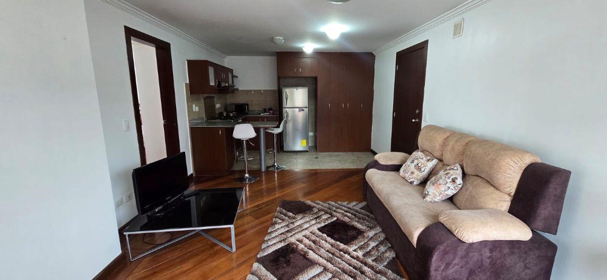 Venta Suite Bellavista Ed. Piazza Borghesse — imagen 4