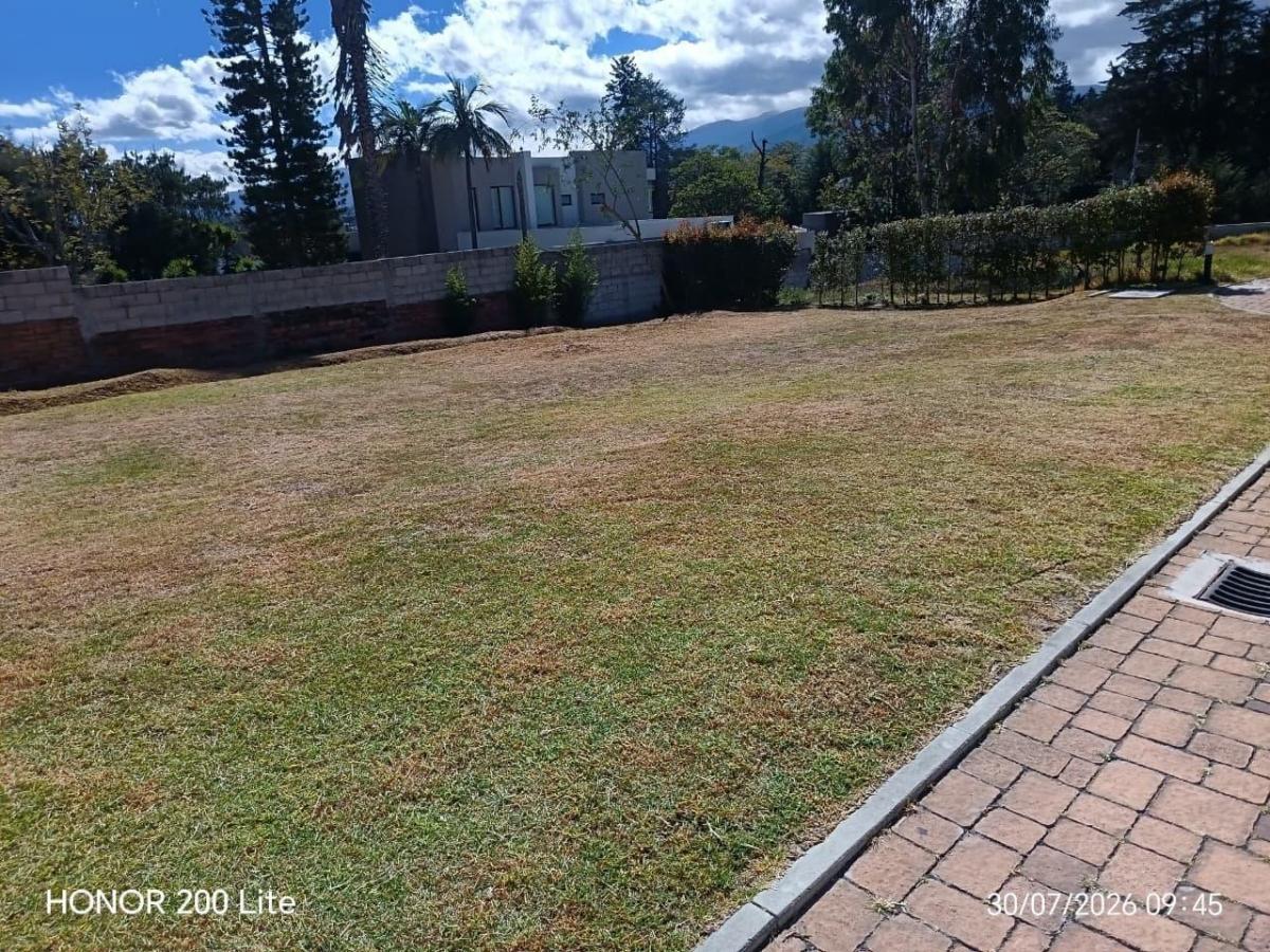 Terreno de Venta Dentro de Una Urbanización, a Su Vez, Dentro de Pachosalas — imagen 7
