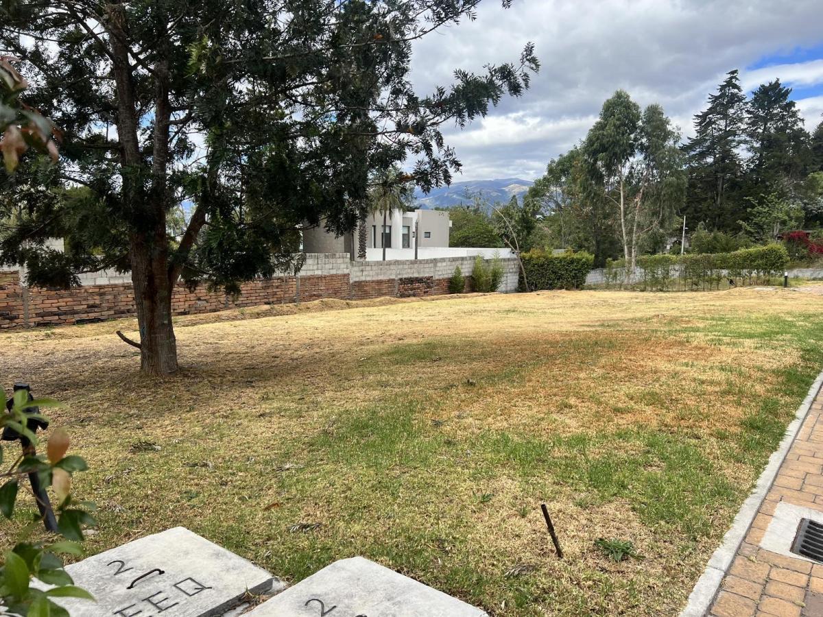 Terreno de Venta Dentro de Una Urbanización, a Su Vez, Dentro de Pachosalas — imagen 5