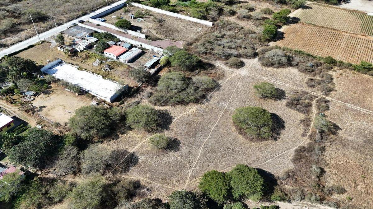 Terreno en Venta, Puembo, Mangahuantag a 1 Km del Club Los Arrayanes — imagen 7