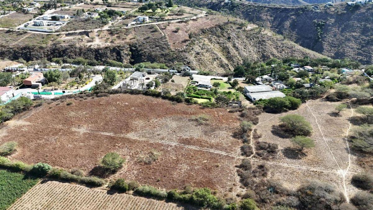 Terreno en Venta, Puembo, Mangahuantag a 1 Km del Club Los Arrayanes — imagen 6