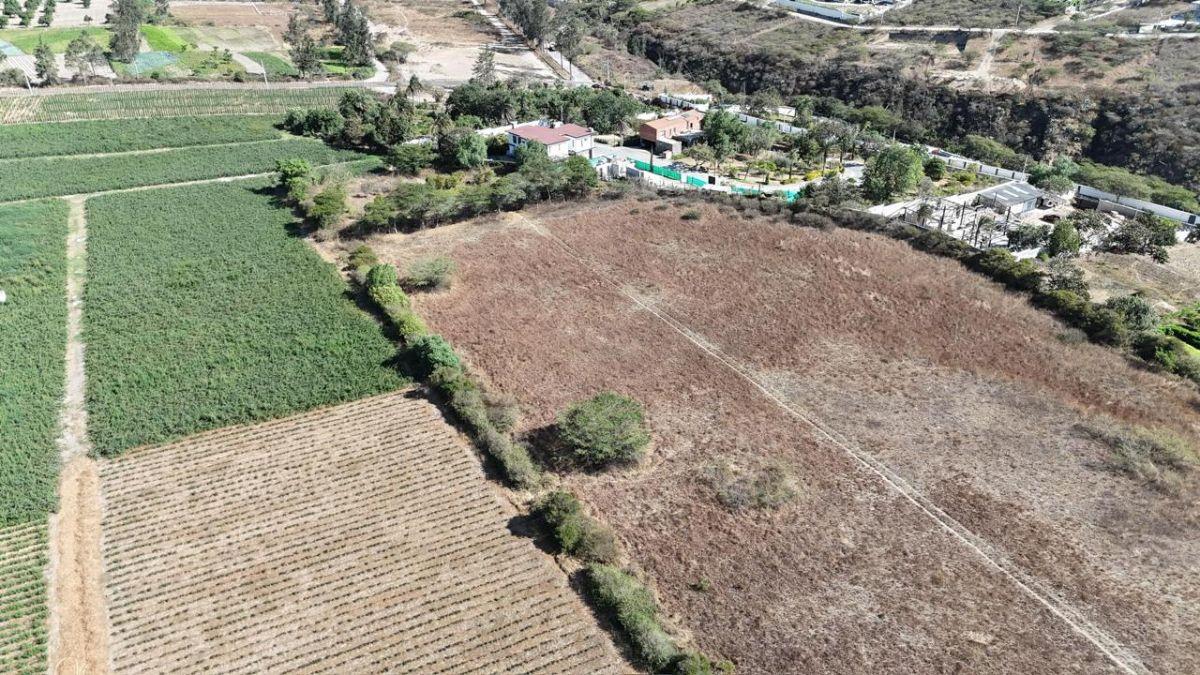 Terreno en Venta, Puembo, Mangahuantag a 1 Km del Club Los Arrayanes — imagen 5