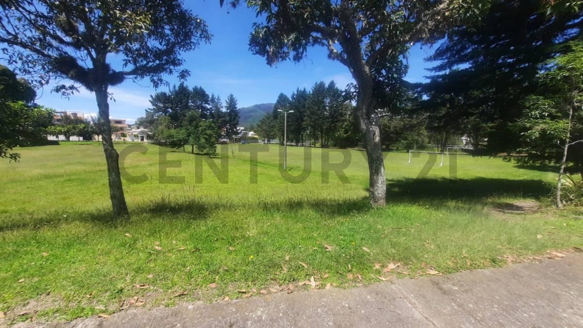 Terreno en Venta Urbanizacion Privada Lote de 813.01 m² Valle de Los Chillos — imagen 4