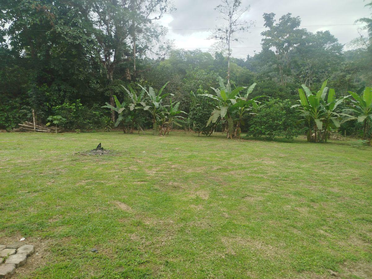 Venta de Hermosa Quinta Junto Al Rio Caoni, Planita — imagen 4
