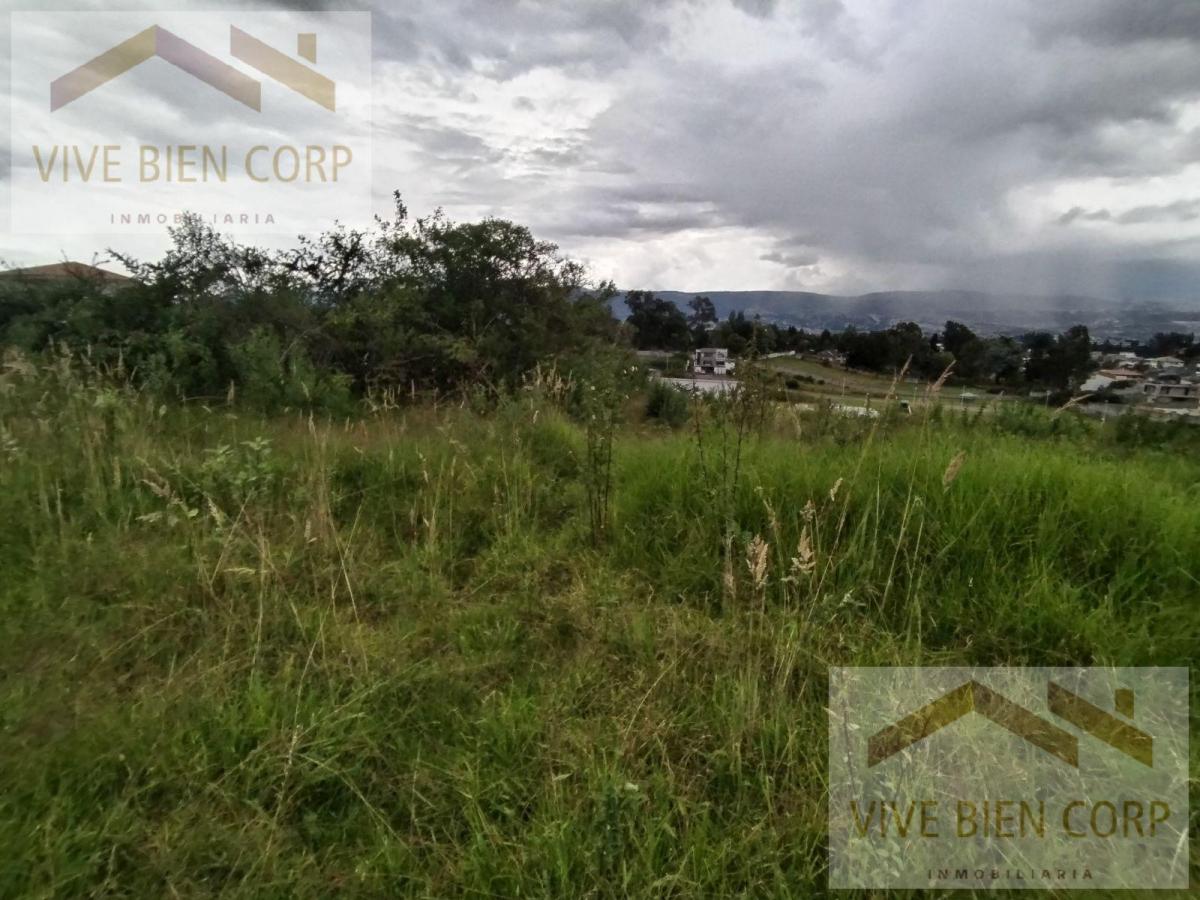 Valle de Los Chillos Terreno Plano Sector La Espe Dentro de Urbanización — imagen 10