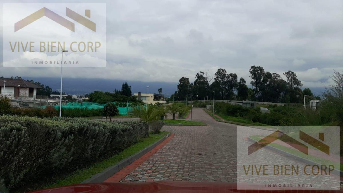 Valle de Los Chillos Terreno Plano Sector La Espe Dentro de Urbanización — imagen 8