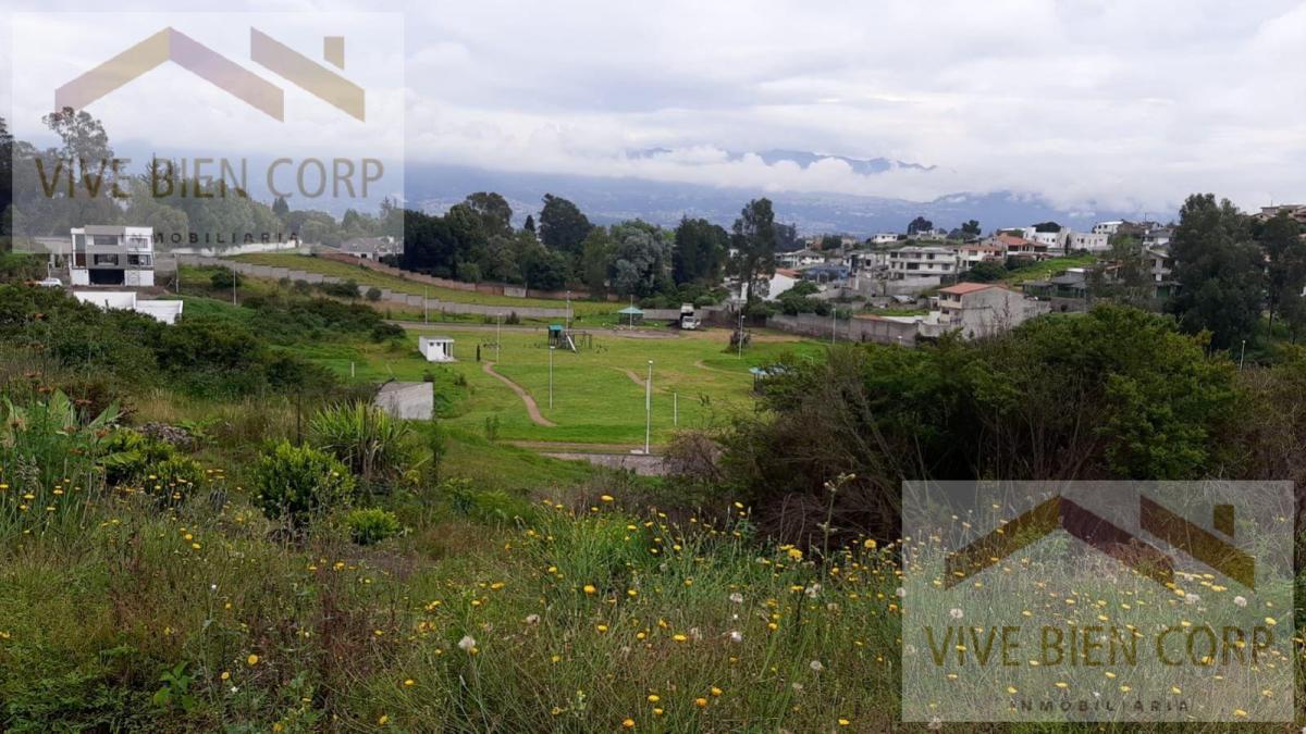 Valle de Los Chillos Terreno Plano Sector La Espe Dentro de Urbanización — imagen 4
