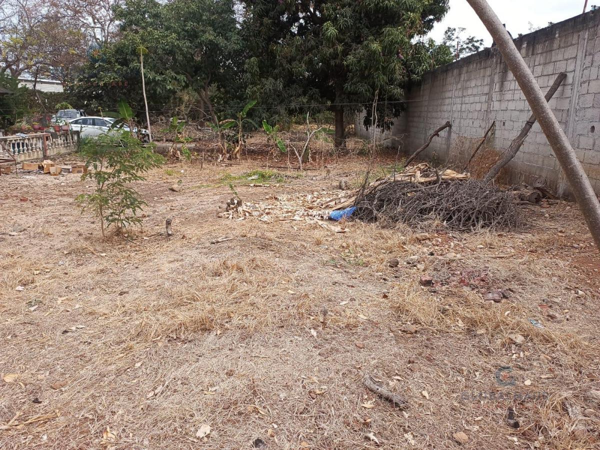 Venta de Terreno en Chongón, 5376 m² G. P, Guayas — imagen 6