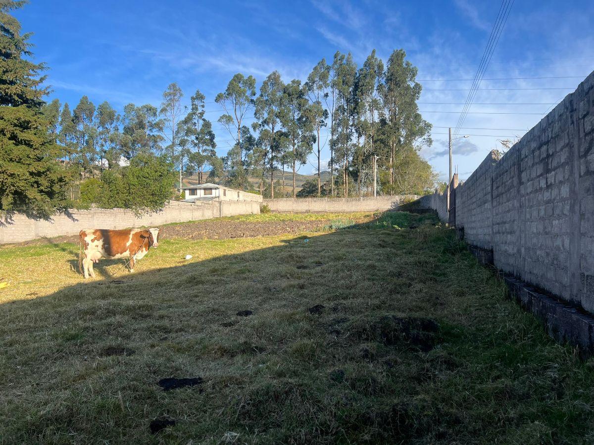Terreno Esquinero en Venta Pintag — imagen 4