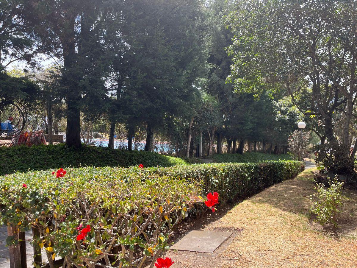 Jacaranda - Cumbayá Casa de Venta 4 Dorm. con Jardín — imagen 10