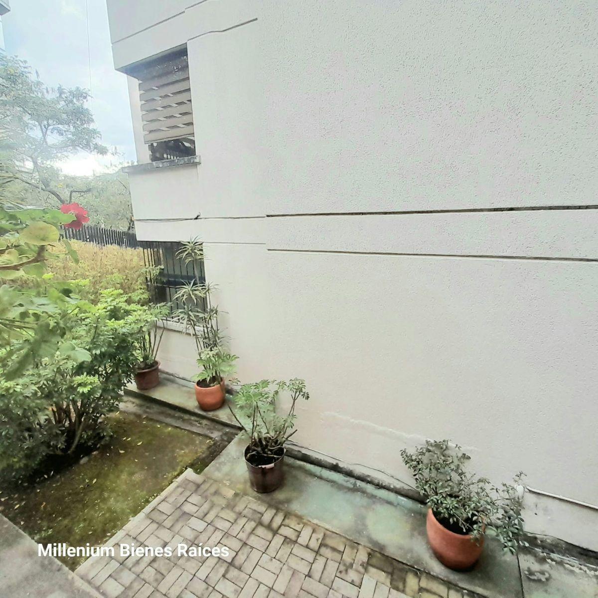 Venta Departamento Planta Baja, 157 m. en La Gonzáles Suárez — imagen 3