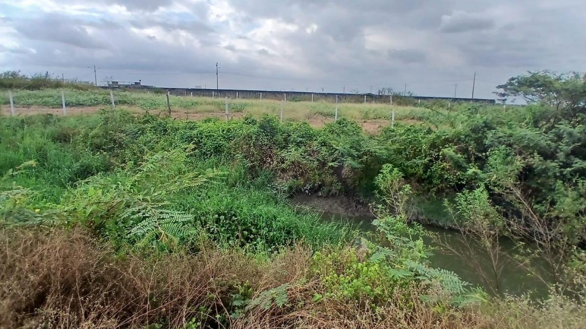 Vendo Terreno, con Frente Directo a La Vía Durán Tambo Carp, Guayas — imagen 8