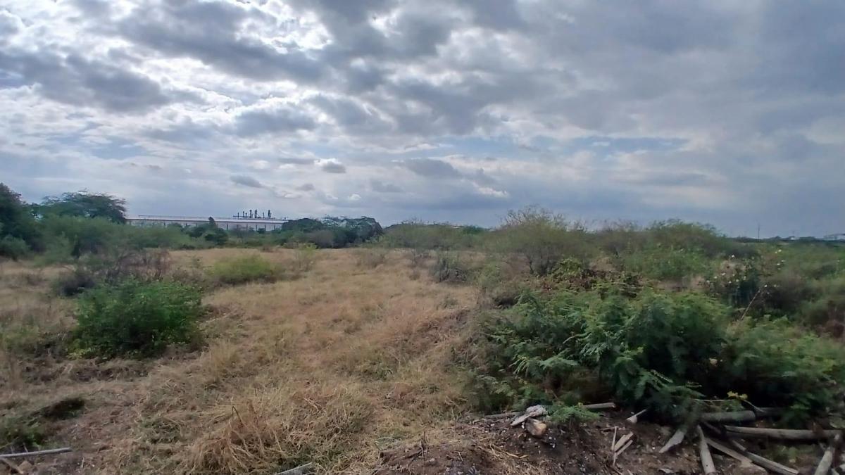 Vendo Terreno, con Frente Directo a La Vía Durán Tambo Carp, Guayas — imagen 7