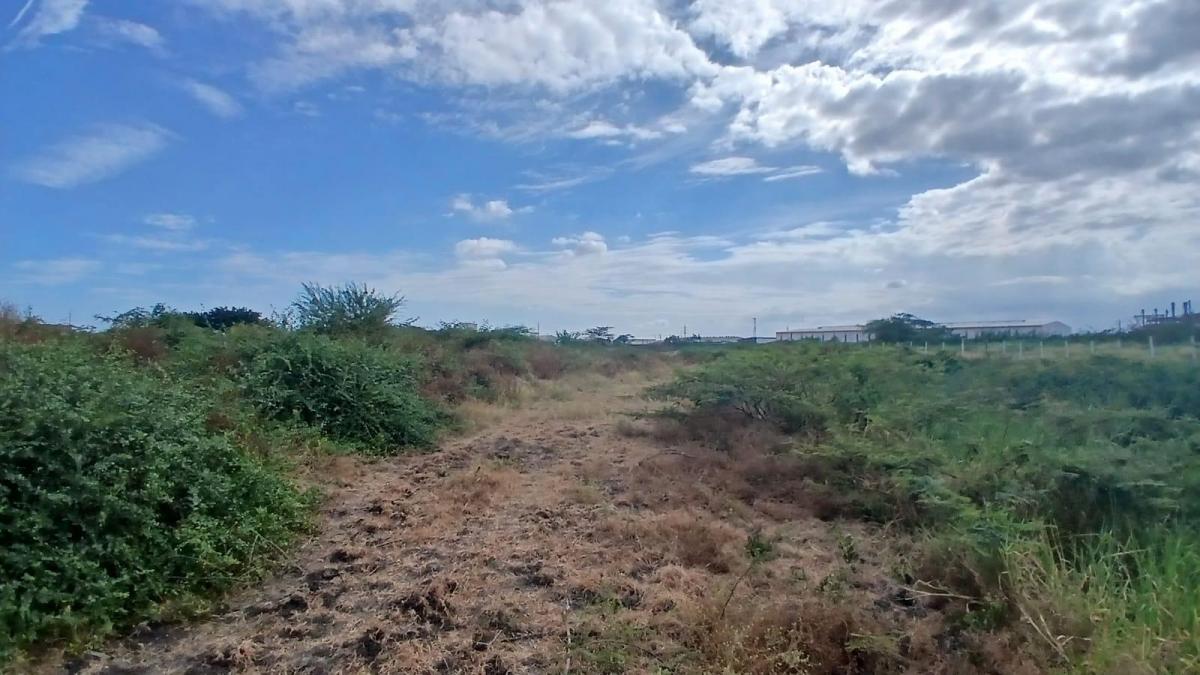 Vendo Terreno, con Frente Directo a La Vía Durán Tambo Carp, Guayas — imagen 4