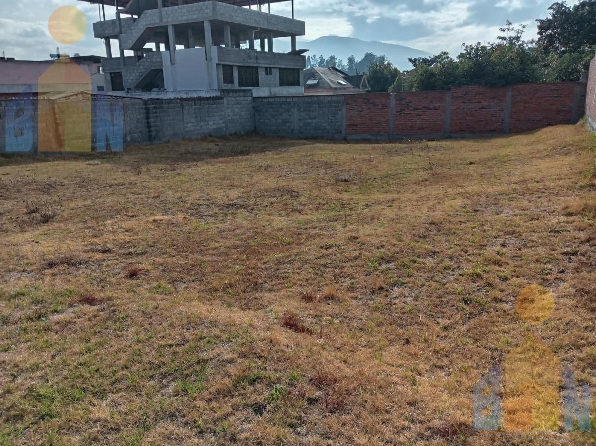 Terreno en La Armenia — imagen 4