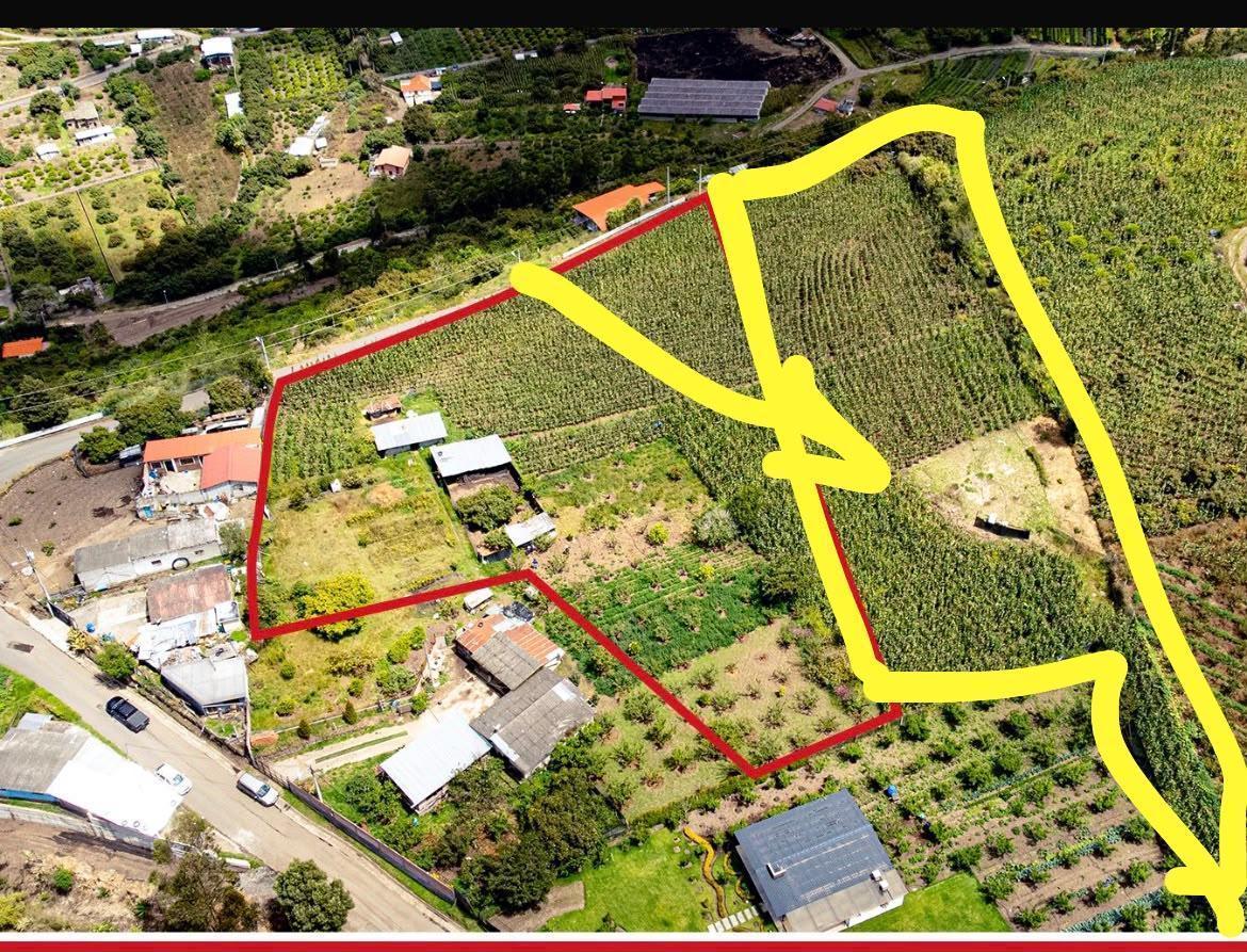 Patate - Terreno Yamate, Tungurahua — imagen 10