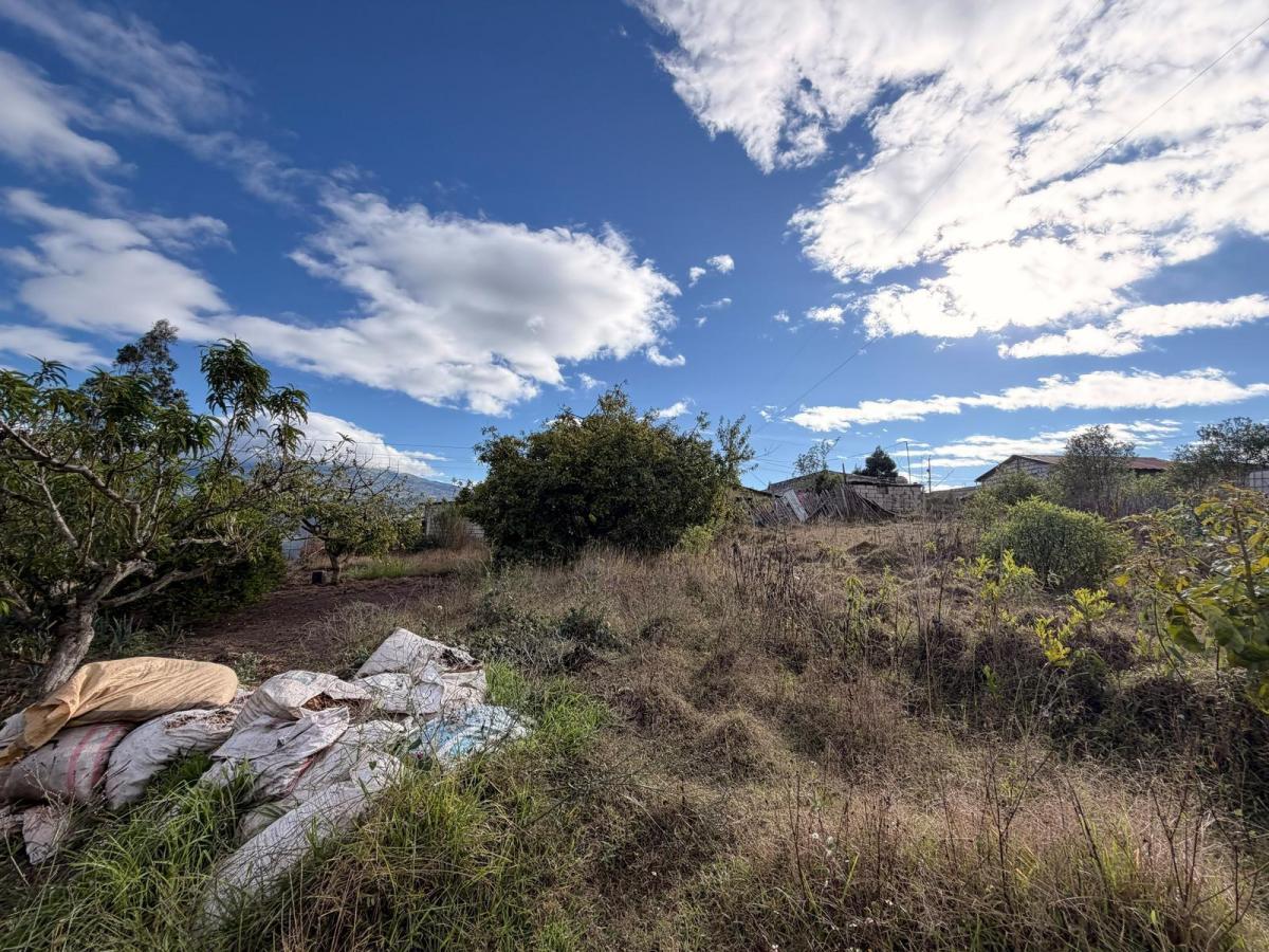 Patate - Terreno Yamate, Tungurahua — imagen 7