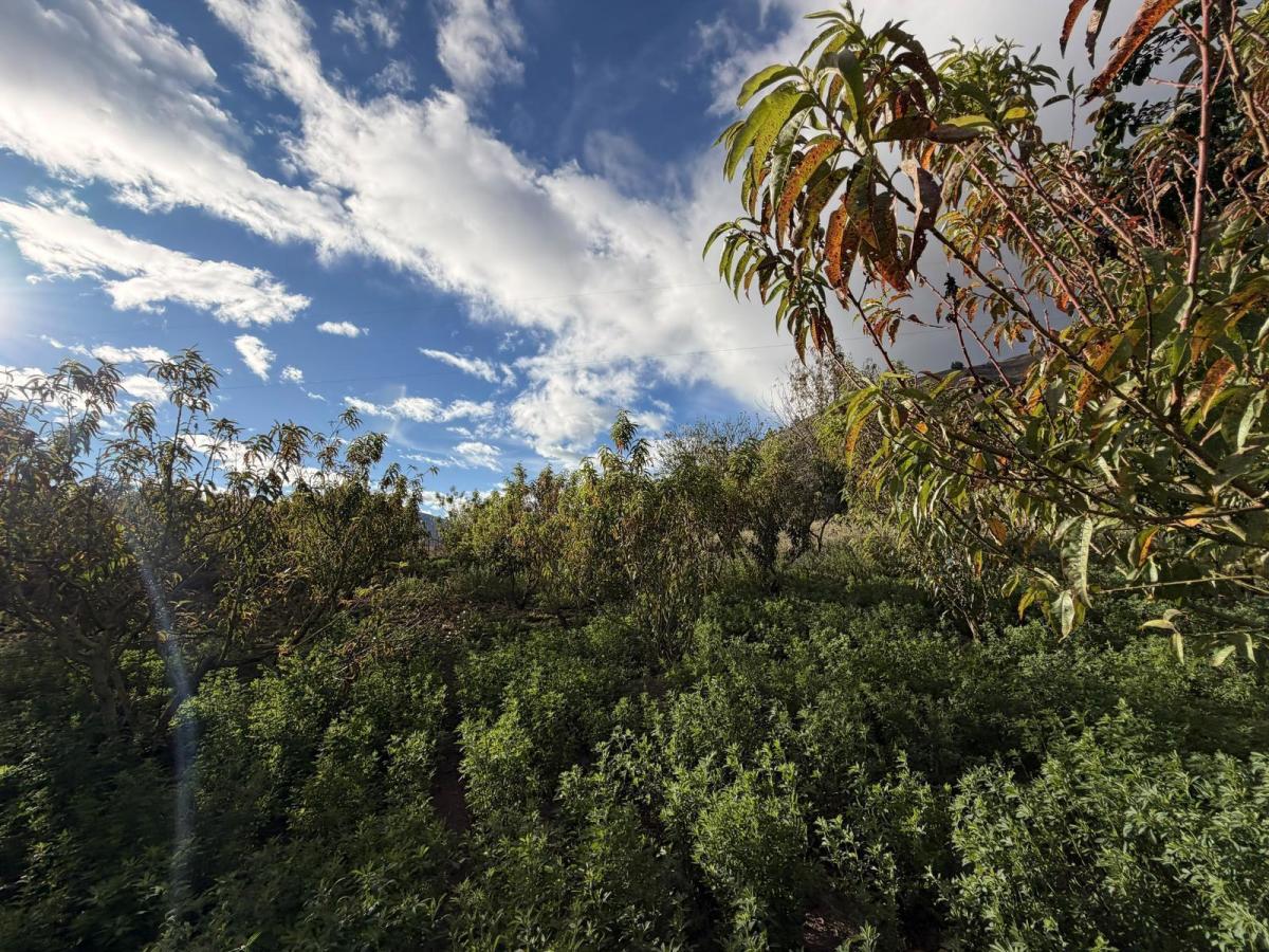 Patate - Terreno Yamate, Tungurahua — imagen 6