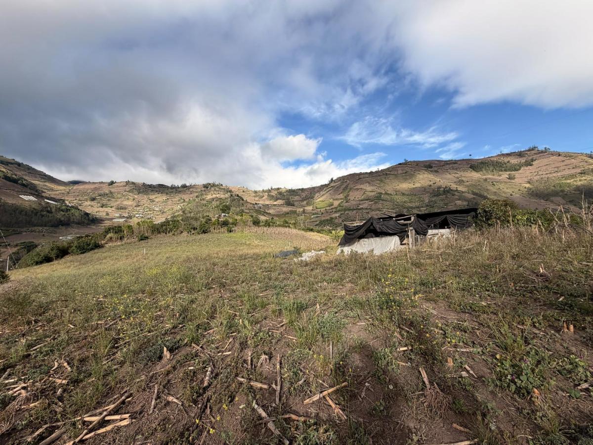 Patate - Terreno Yamate, Tungurahua — imagen 4