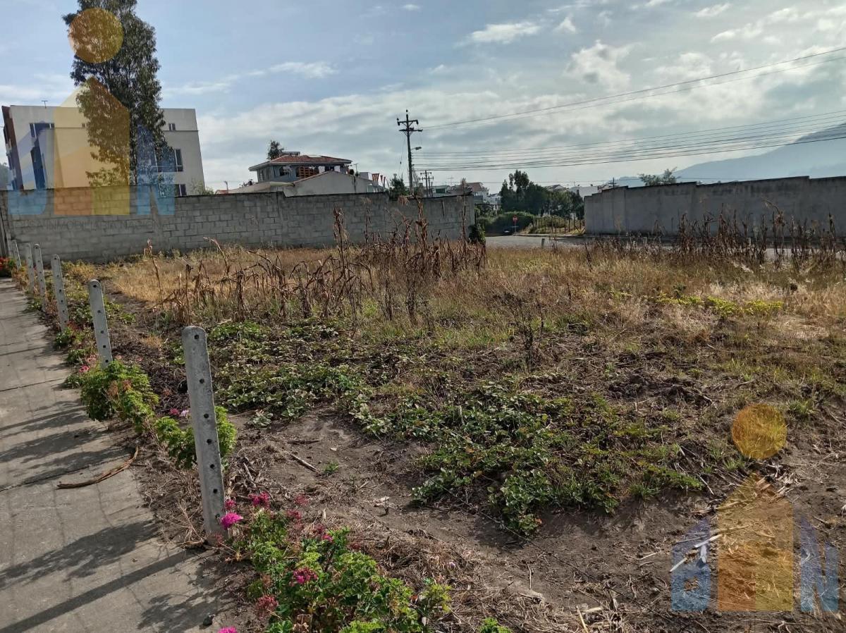 Terreno en La Armenia — imagen 8