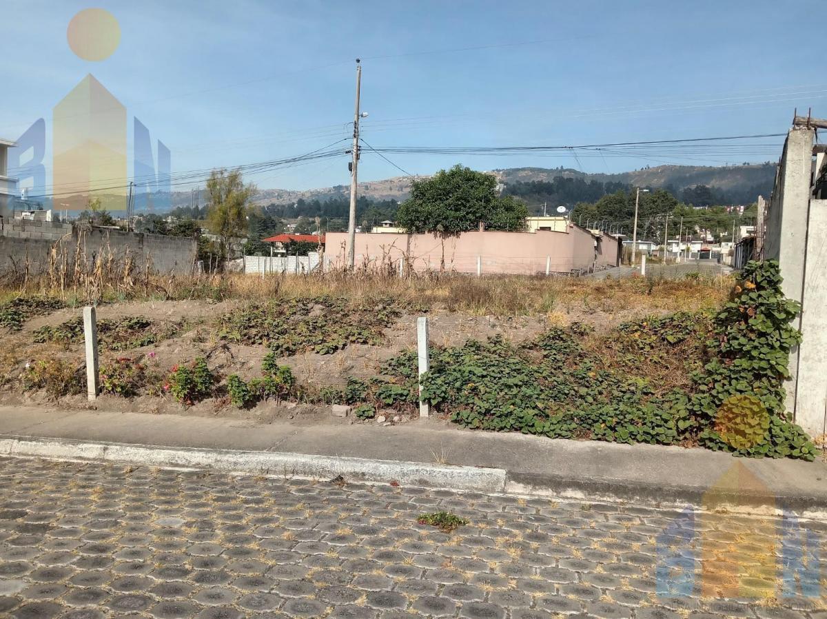 Terreno en La Armenia — imagen 3