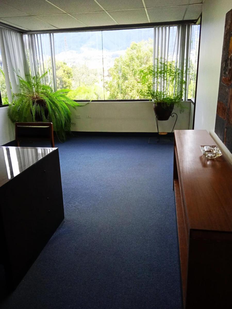 Lindas Oficinas de 55 m² c/u Ideales Para Inversión — imagen 9