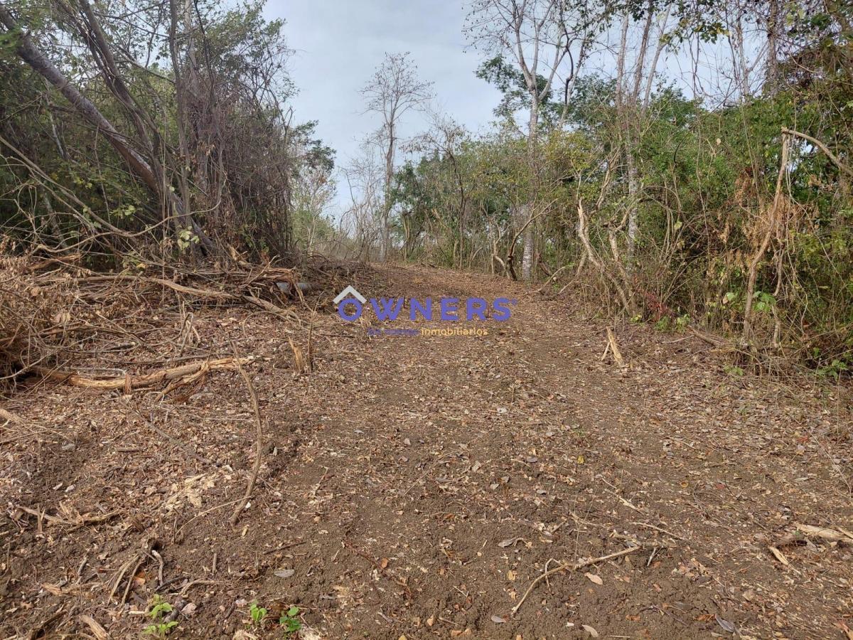 Venta Macrolote Vía a La Costa Recinto Consuelo (Db), Guayas — imagen 8