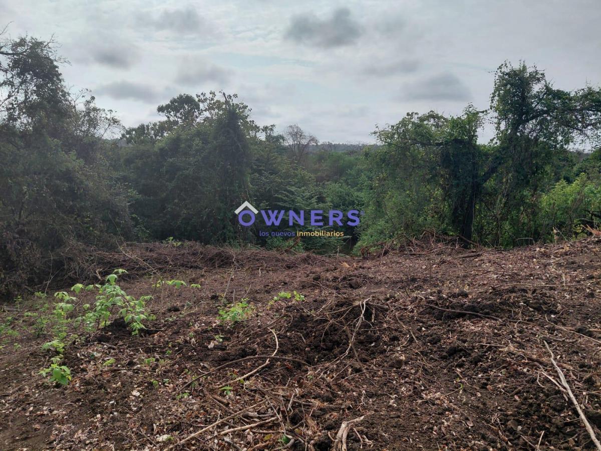 Venta Macrolote Vía a La Costa Recinto Consuelo (Db), Guayas — imagen 7