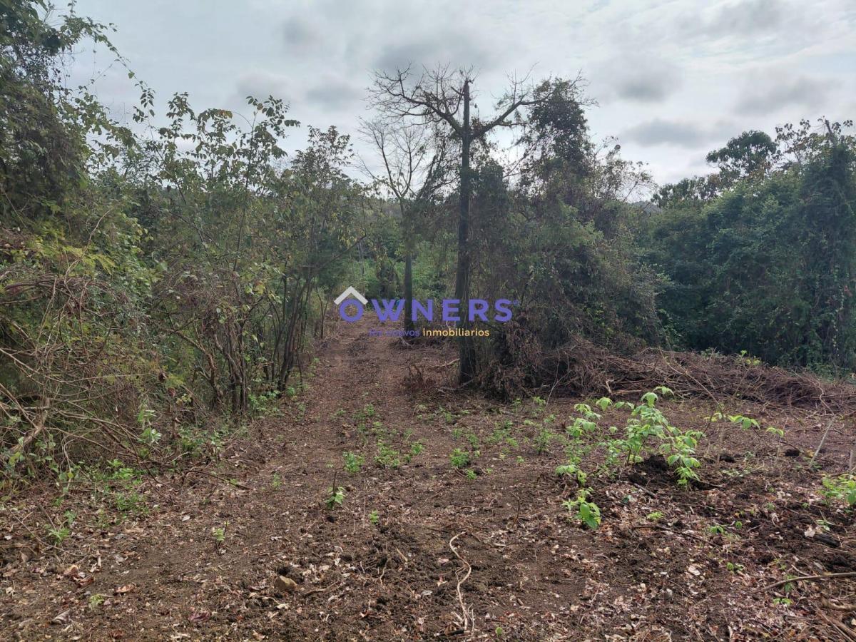Venta Macrolote Vía a La Costa Recinto Consuelo (Db), Guayas — imagen 6
