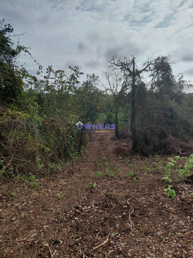 Venta Macrolote Vía a La Costa Recinto Consuelo (Db), Guayas — imagen 5