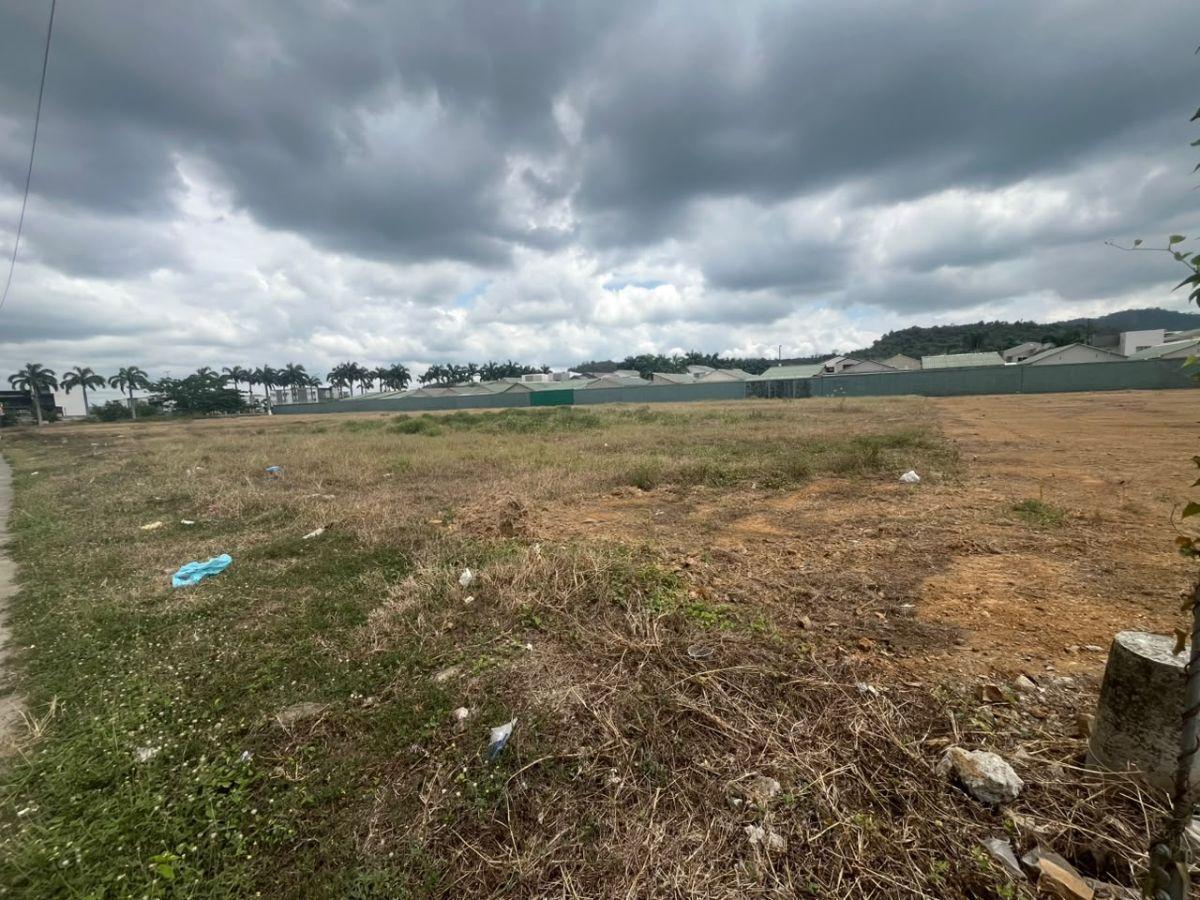 Macrolote en Venta en Vía Principal de La Joya, Guayas — imagen 5