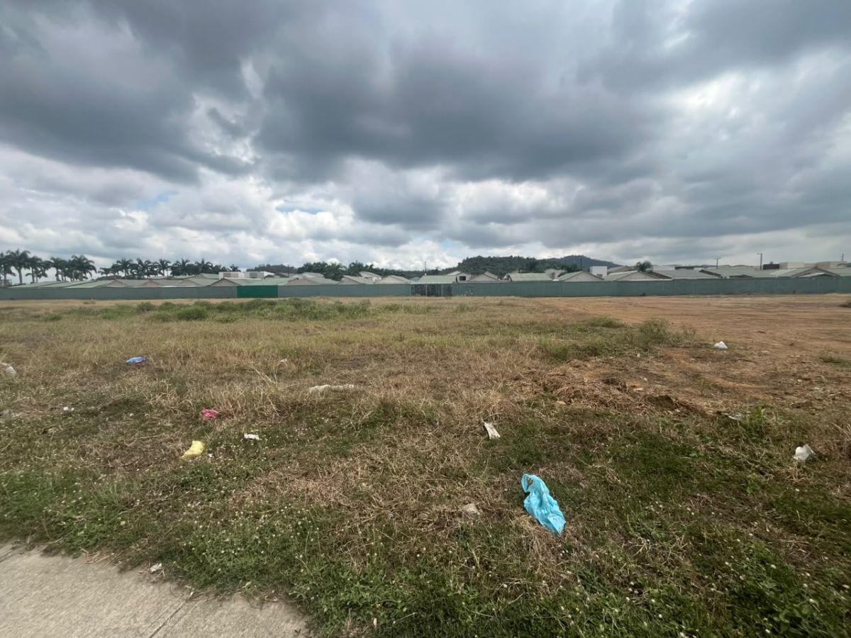 Macrolote en Venta en Vía Principal de La Joya, Guayas — imagen 4