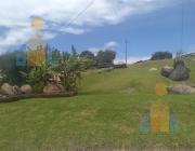 Vendo Terrreno Dentro de Urbanizacion - La Armenia II — imagen 10
