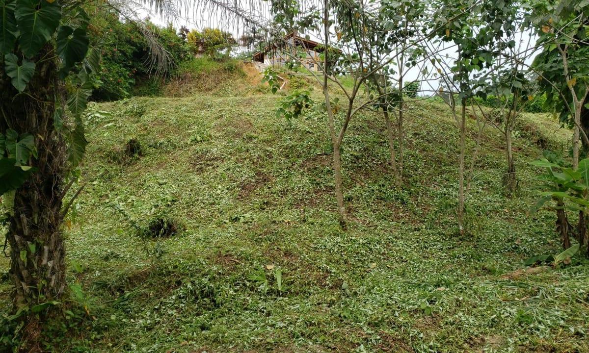 Venta Terreno Noroccidente de Quito en Puerto Quito Dentro de La Urbanización El Manantial — imagen 8