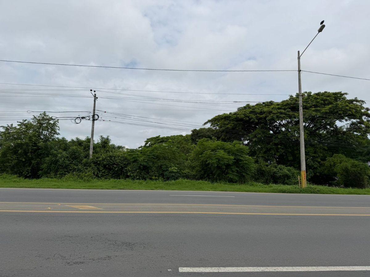 Inversión Estratégica! Terrenos Industriales en Venta Desde 3.000 m² - Lomas de Sargentillo - Guayas, Guayas — imagen 5