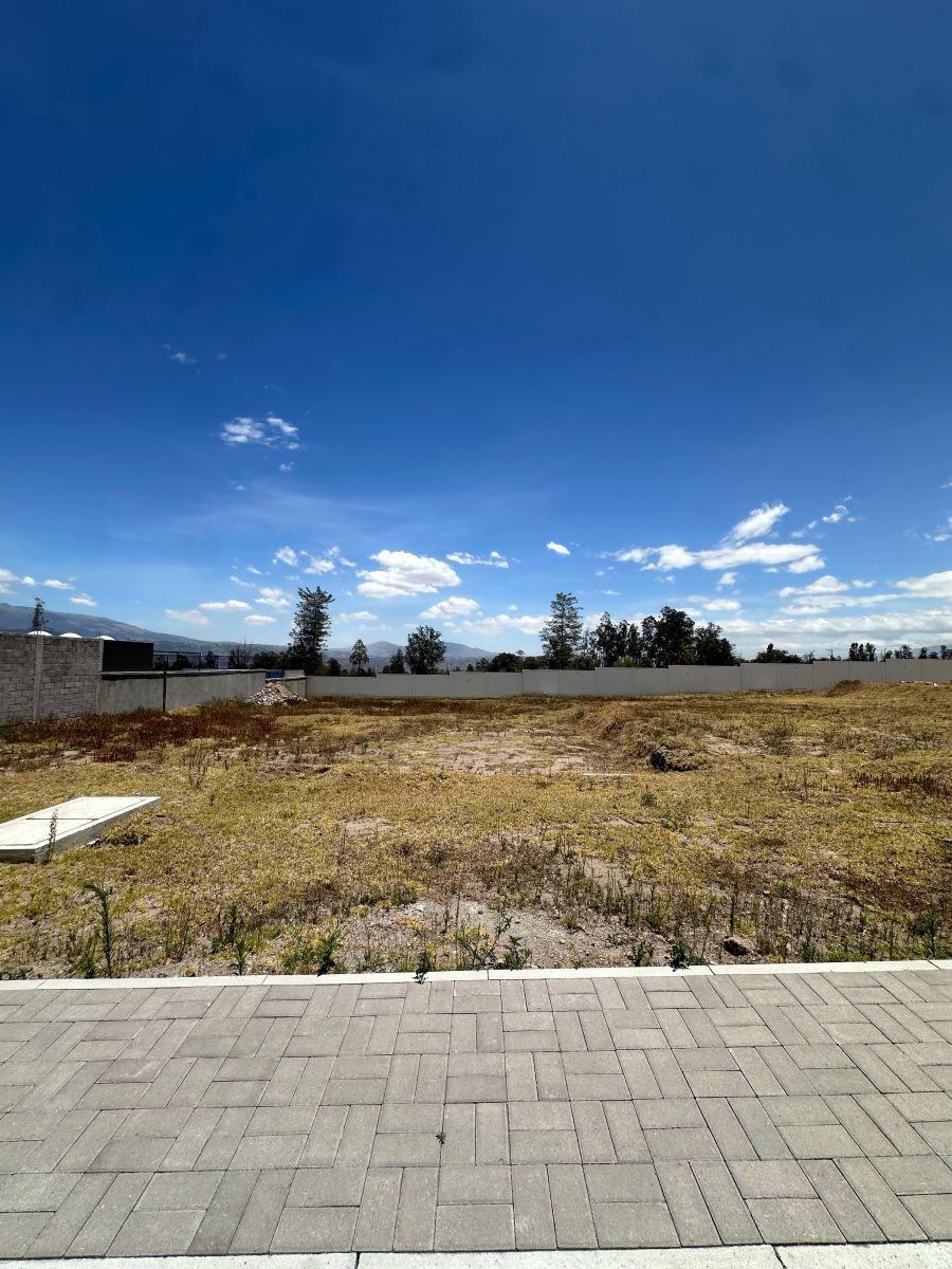 Hermoso Lote en Puembo Dentro de Conjunto — imagen 10