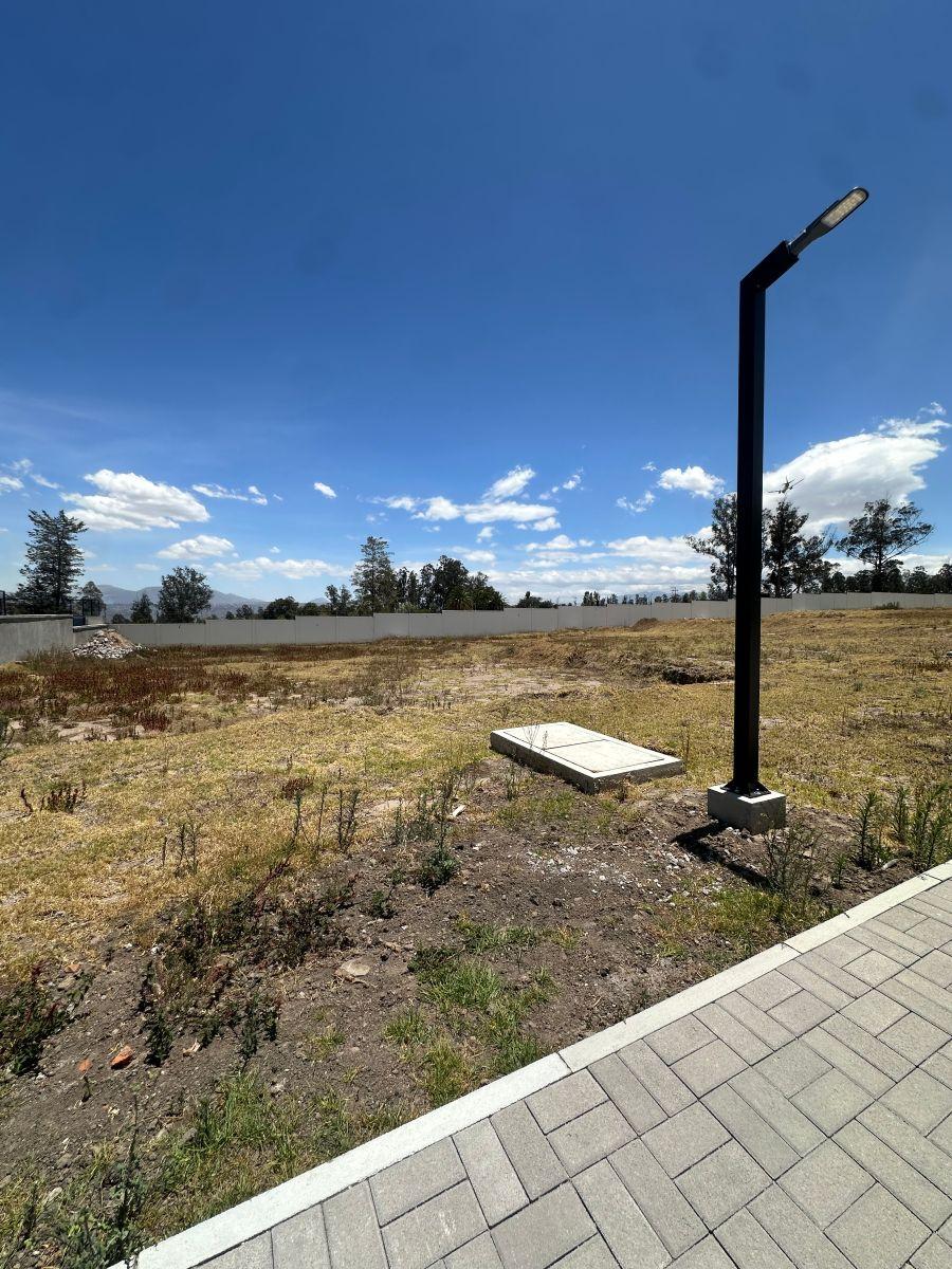 Hermoso Lote en Puembo Dentro de Conjunto — imagen 9