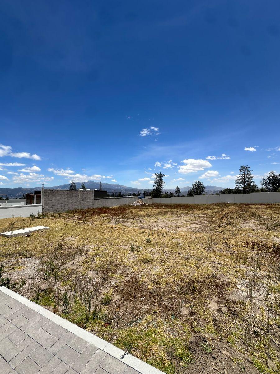Hermoso Lote en Puembo Dentro de Conjunto — imagen 8