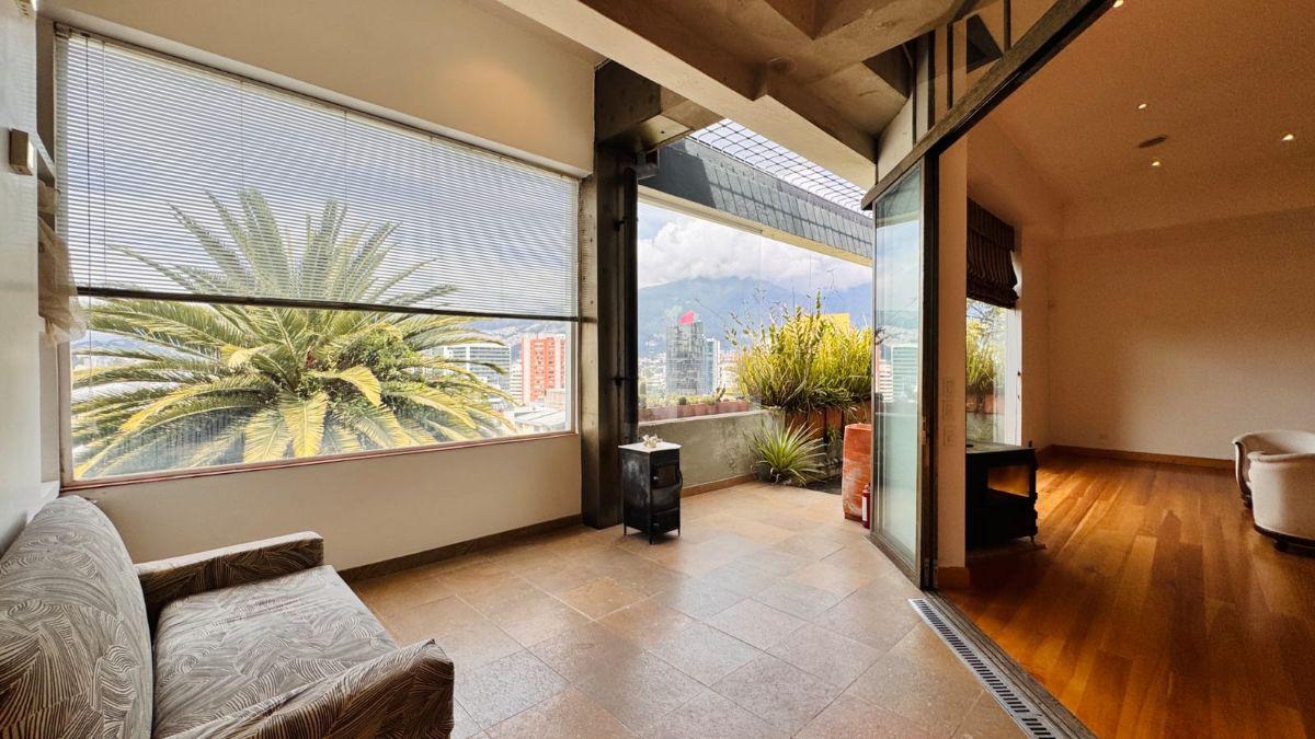 Penthouse Remodelado 239 m² + Terraza | Doble Altura en La Floresta — imagen 7